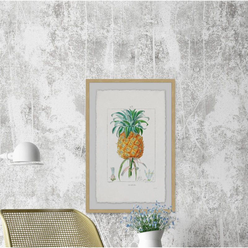 Botanical Pineapple - Single Picture Frame Print, 61 cm H x 41 cm W