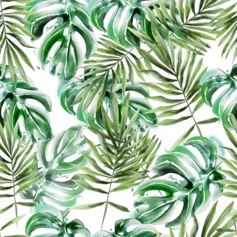 Rouleau de papier peint adhésif Sclafani, Blanc / Vert, L 126 po x l 24 po