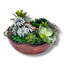 Conception succulente dans un vase circulaire en bois brun