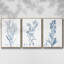 Ensemble de 3 pièces botaniques antiques en bleu I sur toile tendue-97759527-97759528