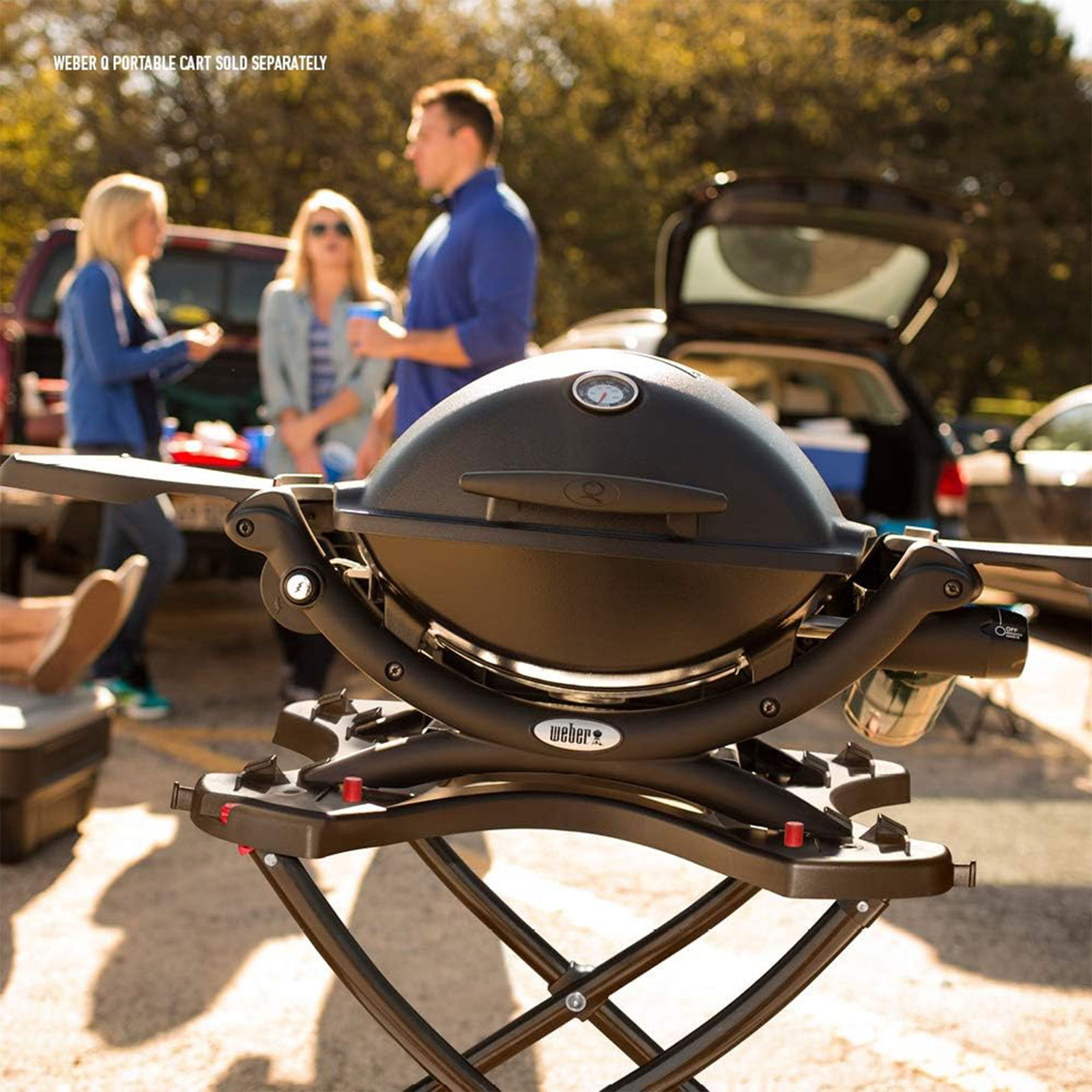 Weber Q® Series Q 1200, Black