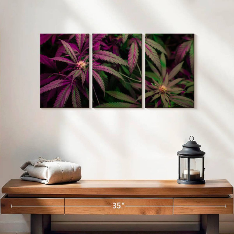 Lavander Marijuana, 12" H x 26" W