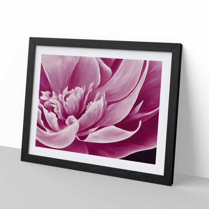 Awesome Peony Flower - Framed Print, Black, 25cm H x 34cm W x 2cm D