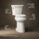 Highline™ 1.28 GPF (Water Efficient) Elongated Two-Piece Toilet with a High-Efficiency Flush (Seat Not Included)