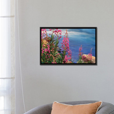 " Fireweed Against Flowing Stream, North America " by Tim Fitzharris
