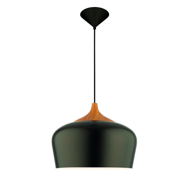 Maritza 1 - Light Unique/Statement Pendant, Black