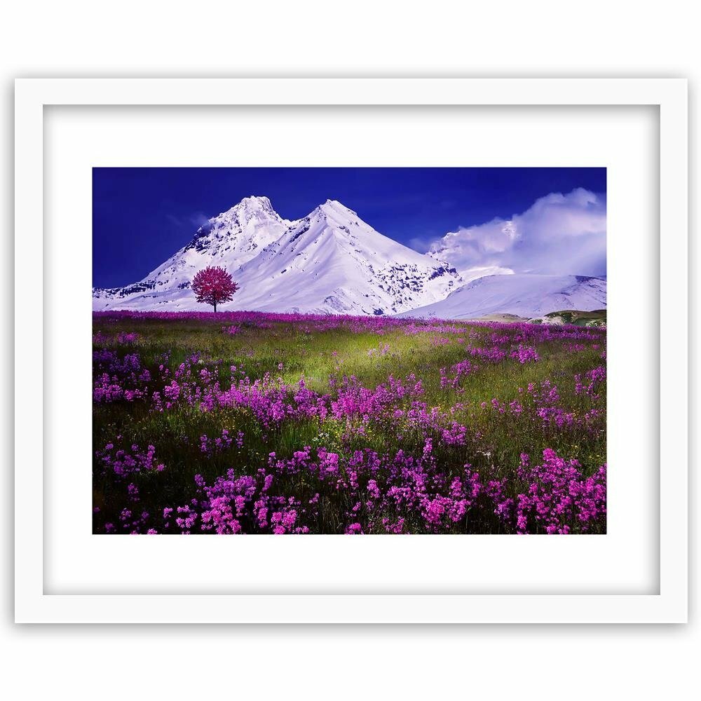 Gerahmtes Poster Schneebedeckte Berge mit Blumenwiese 4