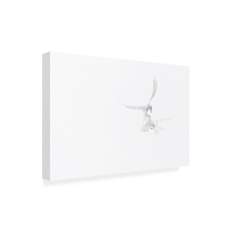 Art sur toile, Roberto Marchegiani, H 12 po x l 19 po