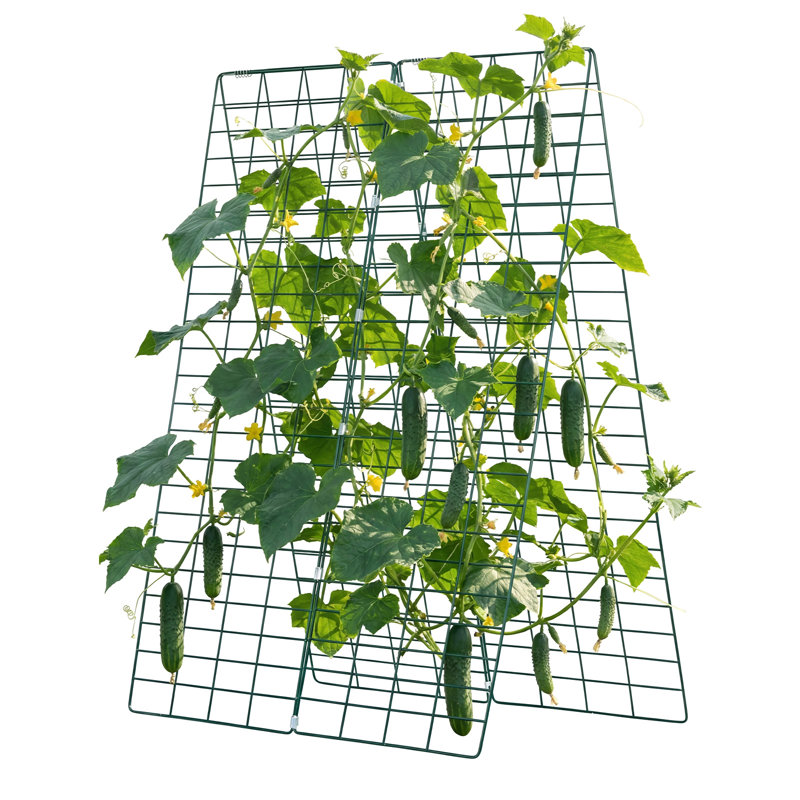 Ensemble de 4 treillis de concombre, treillis de jardin en A pour lit surélevé, support de plante en métal antirouille pour la vigne, plantes grimpantes, pois, haricots, courgettes, tomates, fleurs (46,06 x 16,93 po x 4 PCS)