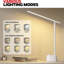 Desk Lamp