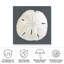 Toile d'extérieur «Shell on Slate II» Macau Megan Meagher-87944727