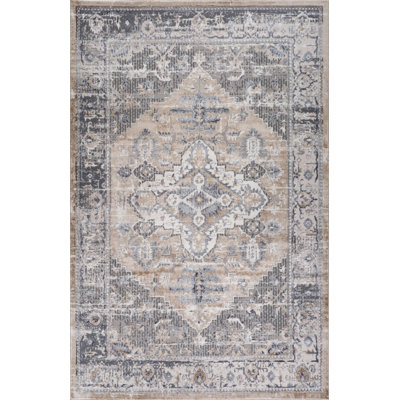 4' X 6' Gray and Brown Oriental Distressed Area Rug