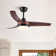 Small-CF 42'' Ceiling Fan with LED Lights