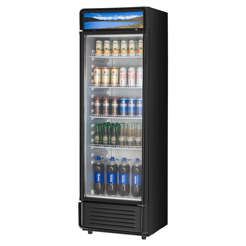 Réfrigérateur commercial à affichage en verre 13,3 CU.FT