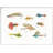 " Gone Fishin I " by Elyse DeNeige Graphic Art Print-23650611-24421496-24421492