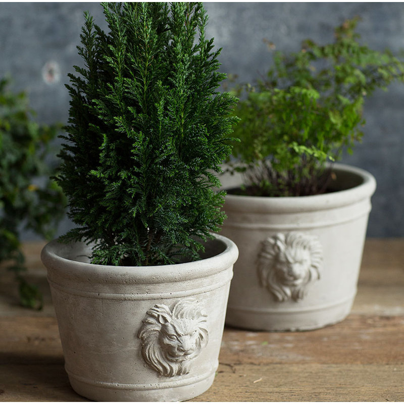 Lynda Pot Planter, 5.13" H x 7" W x 7" D