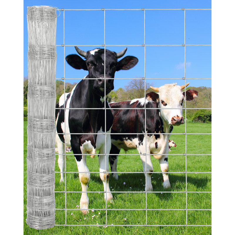 Clôture pour bovins - Clôture en fil de fer galvanisé robuste pour les moutons, les porcs, les chèvres et les cerfs, clôture grillagée durable
