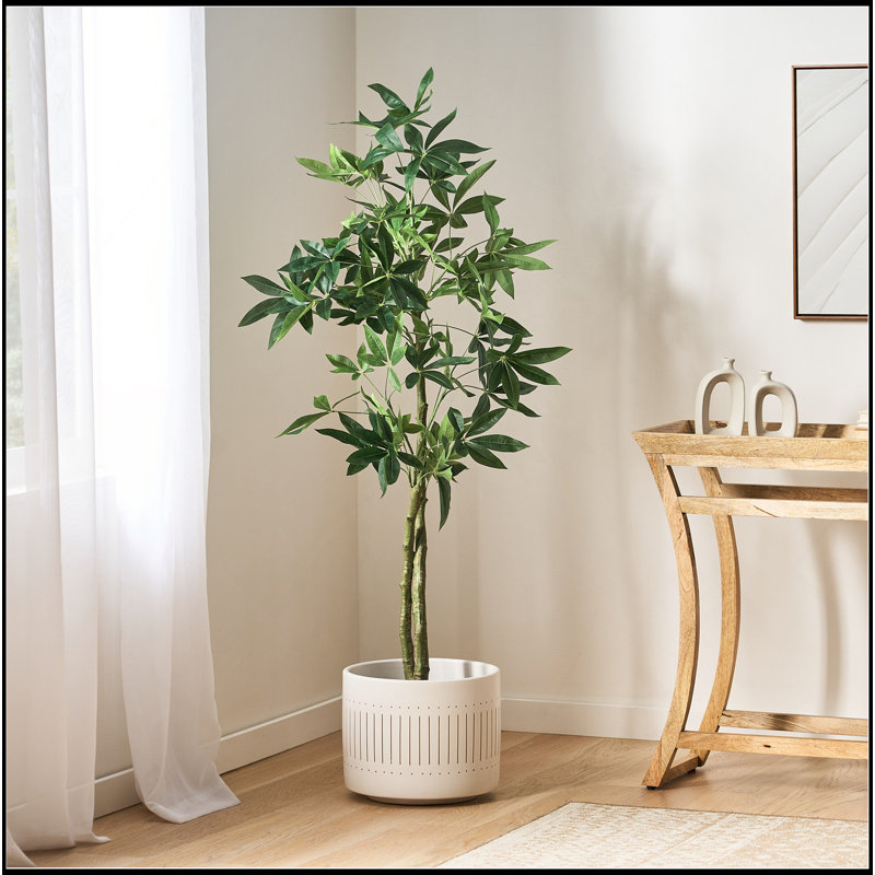 160CM ARTIFICIAL PACHIRA MACROCARPA, 63" H x 31.5" W x31.5" D