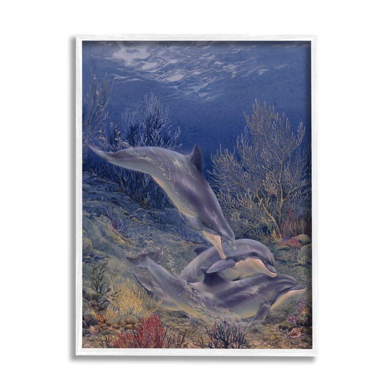 Au-508-Giclée, jeu de coquillages sous les dauphins, H 14 po x l 11 po x P 1,5 po, Giclée encadrée blanc bord de mer