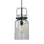 Luminaire suspendu bocal unique 1 lumière Nouvelle