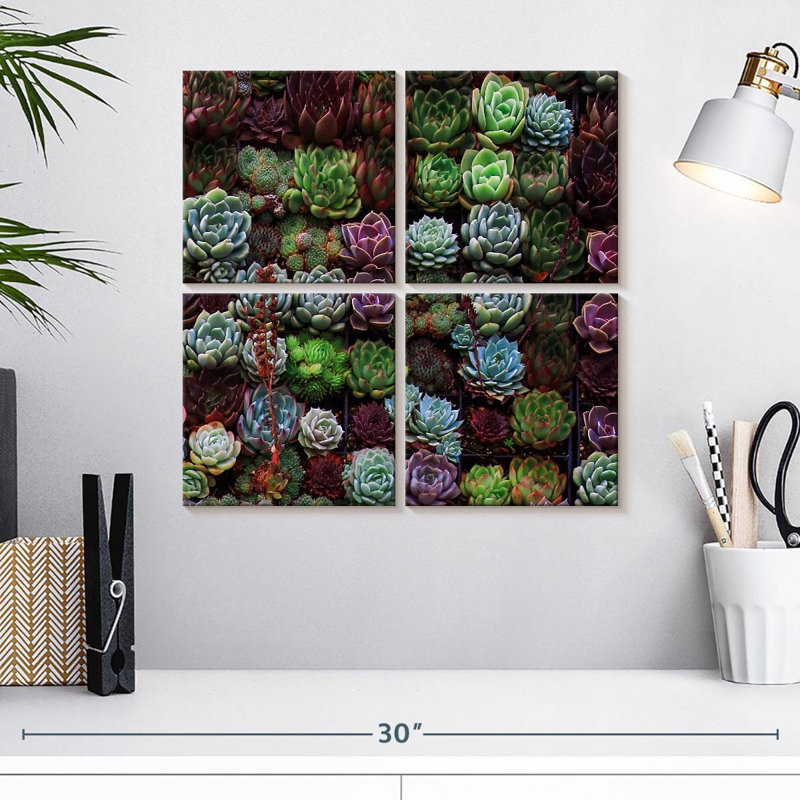 Harnek, un rassemblement de plantes grasses, H 18 po x l 18 po