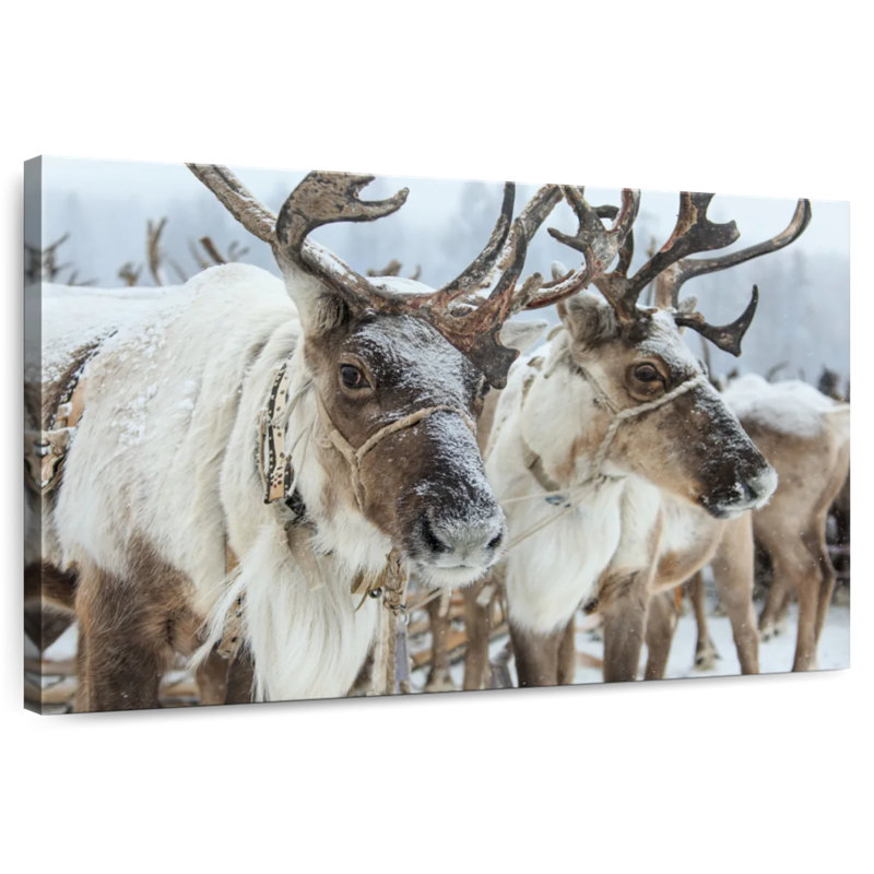 Snow Reindeer, 32" H x 48" W