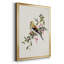 Spring Song Pine Grosbeak - Peinture sur toile encadrée-97612957-97612958