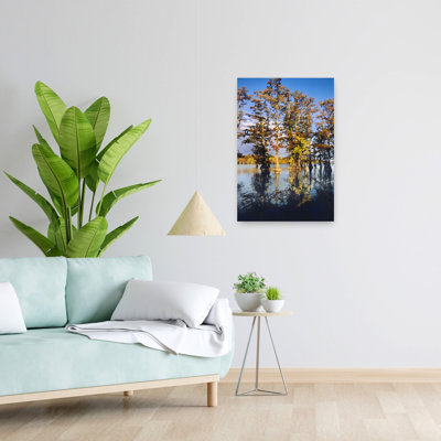 Reflection Of Cypress Trees In Lake, Horseshoe Lake, Alexander County, Illinois, Usa Abstract Contemporary Forest Landscape Wall Art