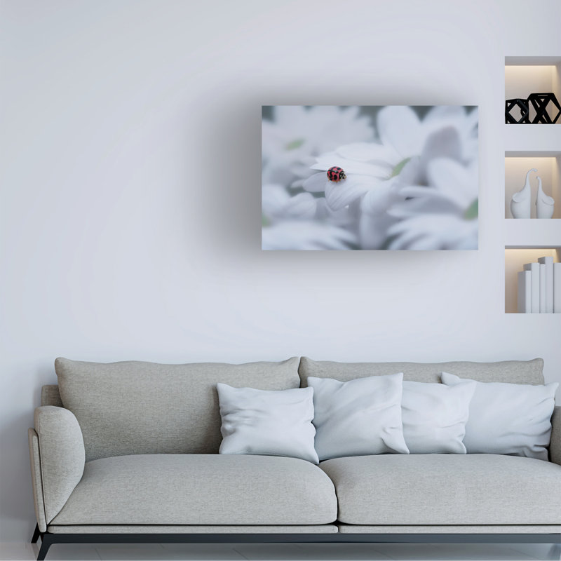 Art sur toile, bolle, Edy Pamungkas, H 16 po x l 24 po