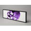 Gibbs Print-1514195462-1514195463