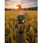 36" Metal Scarecrow Garden Stake | Outdoor Fall & Thanksgiving Decor