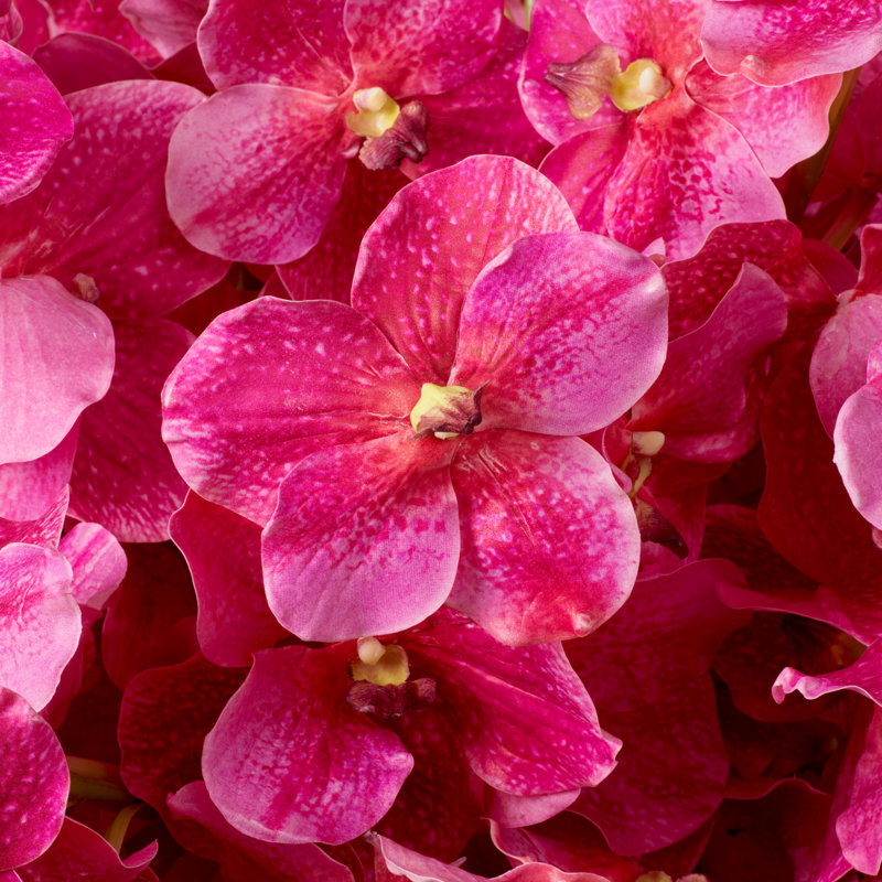 Bouquet of Vanda Orchids Real Touch 24 Pcs, Pink