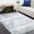 Indoor Rug-1817297681