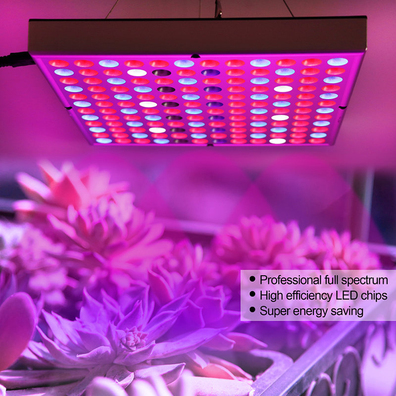 Zhu 25 Watt Grow Light