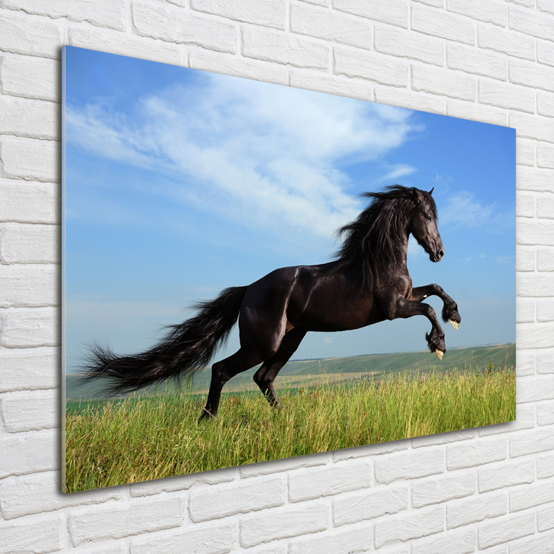 Black Horse On The Meadow - No Frame Print on Glass