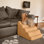 Snoozer Orthopedic Microsuede Stair Railing