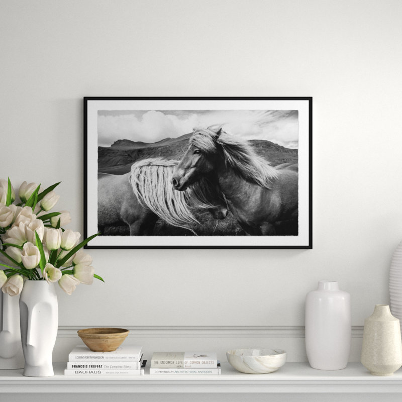 Black And White Horse Giclee Print