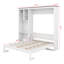 Queen Murphy Bed with Multi-Layer Storage Cabinet & Bookcase,Wood Foldable Space Saving Wall Bed, Multi Vertical Murphy Bed for Guest Room-185301905
