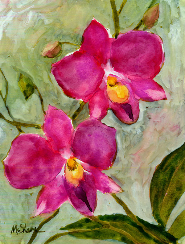 Drapeau vertical orchidée house