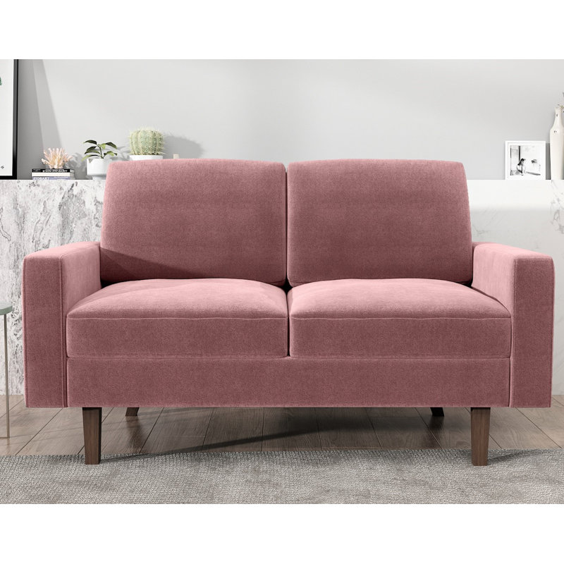 Noreen 57.9'' Velvet Loveseat, Rose Velvet