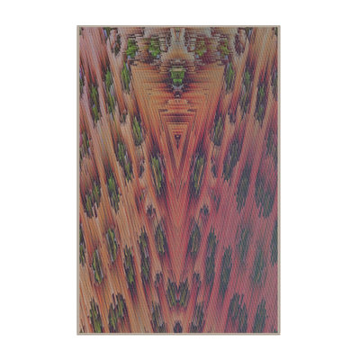 Indoor Rug