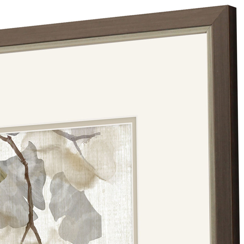 Gingko Accent S/2