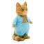 Tom chaton