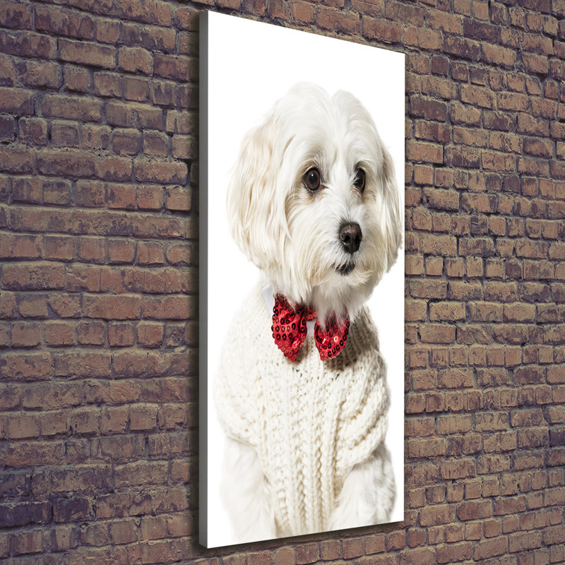 Maltese In A Bow Tie - Wrapped Canvas Print