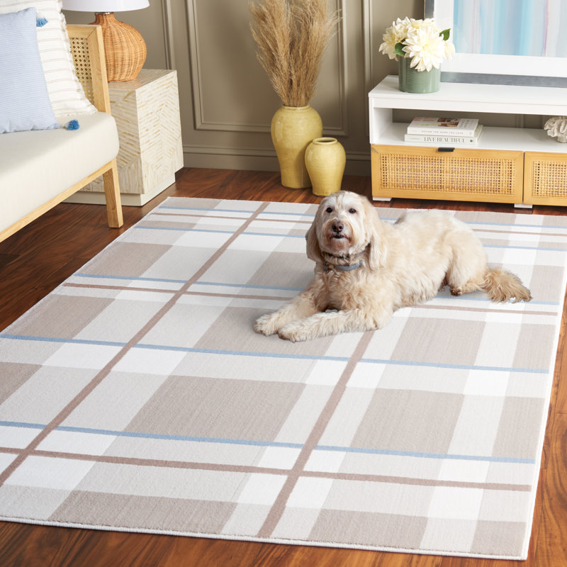 Arainna Performance Plaid Rug, Rectangle 4' x 6'