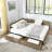 Velvet Storage Daybed-657106311-645695356