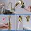 Robinet de cuisine à poignée simple avec accessoires Luxe-116826376