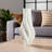 Porcelain Sculptural Vase With Organic Curved Silhouette And Intricate Textural Detailing For Artistic Accent And Contemporary Decorative Display In Modern Interior Settings-472858096