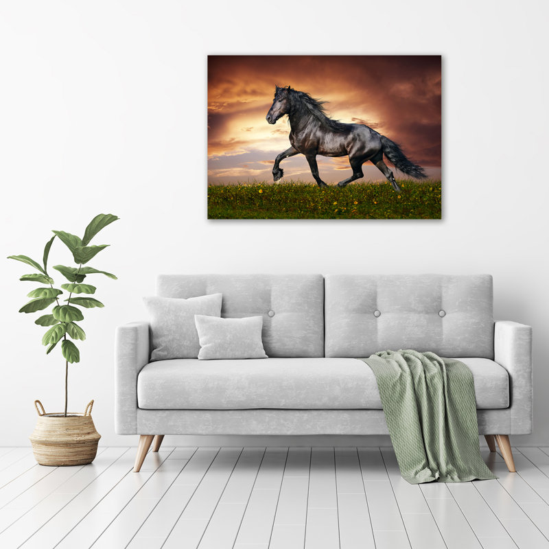 Pooping Horse - Wrapped Canvas Print