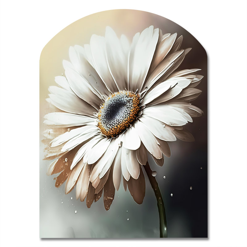 «White Gerbera Flowers II» - art mural asymétrique en gerbera, H 34 po x l 25 po